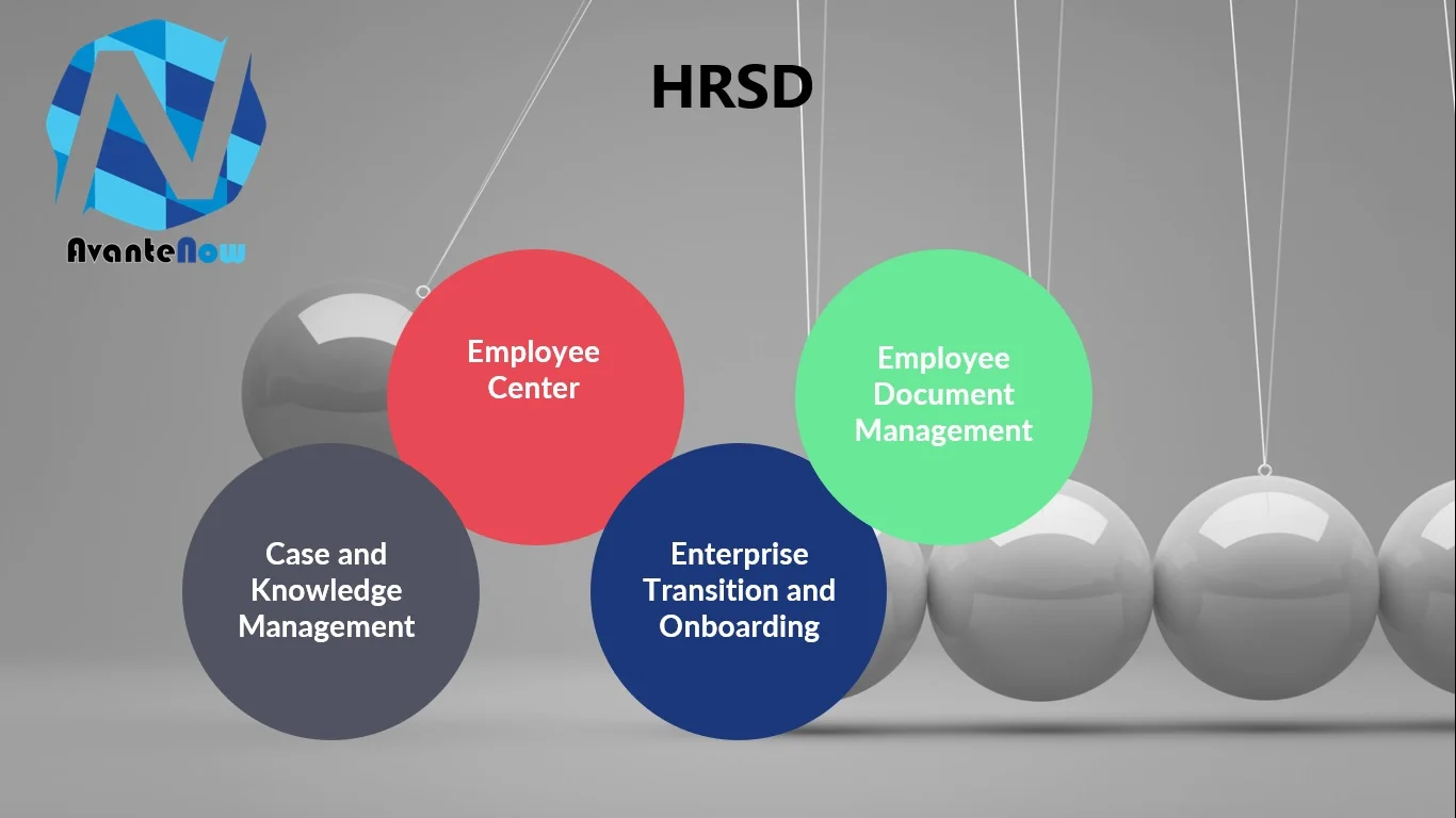 WHAT IS HUMAN RESOURCE SERVICE DELIVERY (HRSD)?